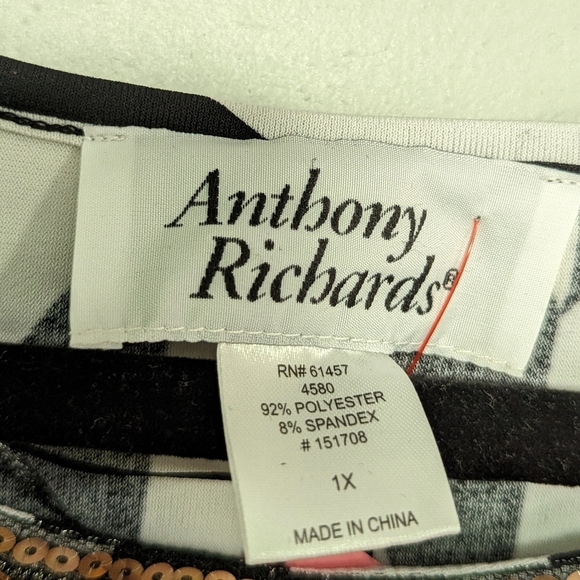 Anthony Richards Stripes Embellished Top - Picture 10 of 10